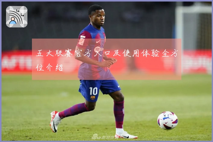 五大联赛官方入口及使用体验全方位介绍