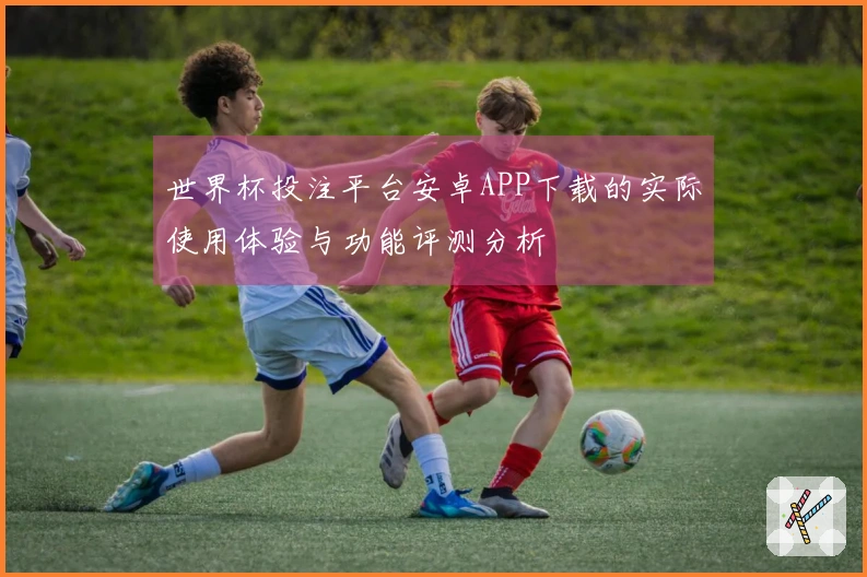世界杯投注平台安卓APP下载的实际使用体验与功能评测分析