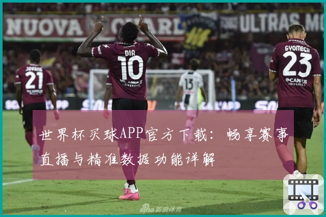 世界杯买球APP官方下载：畅享赛事直播与精准数据功能详解