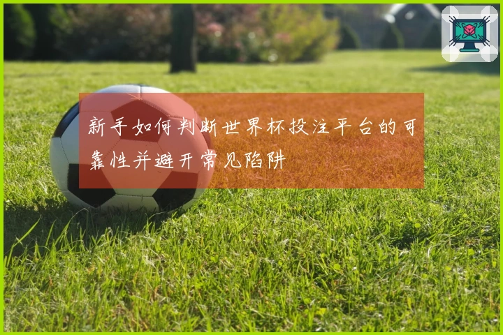 新手如何判断世界杯投注平台的可靠性并避开常见陷阱