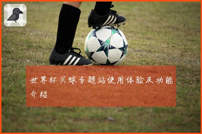 世界杯买球专题站使用体验及功能介绍