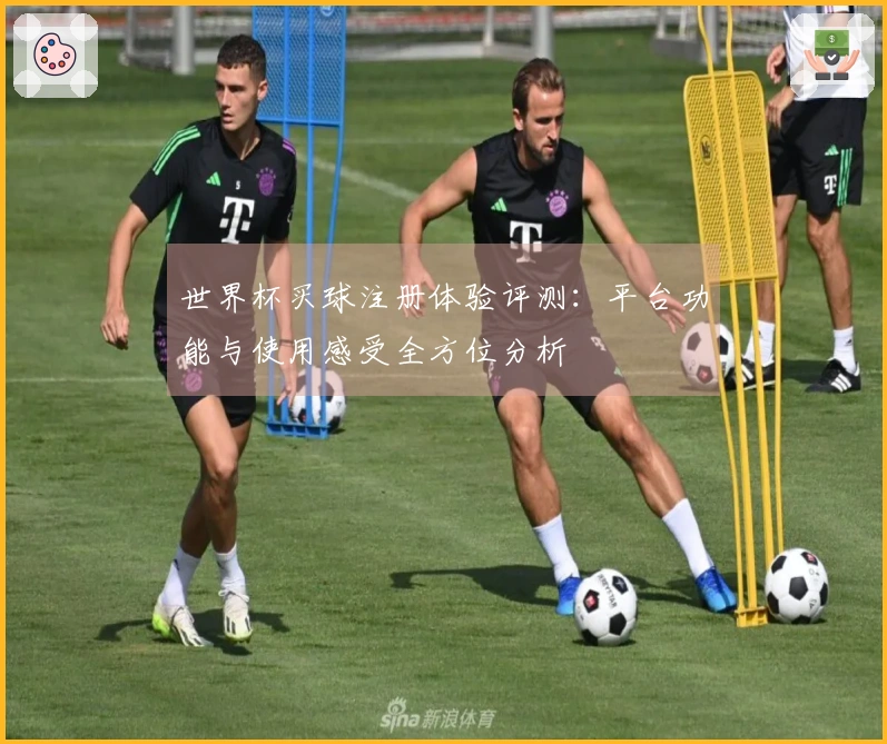 世界杯买球注册体验评测：平台功能与使用感受全方位分析