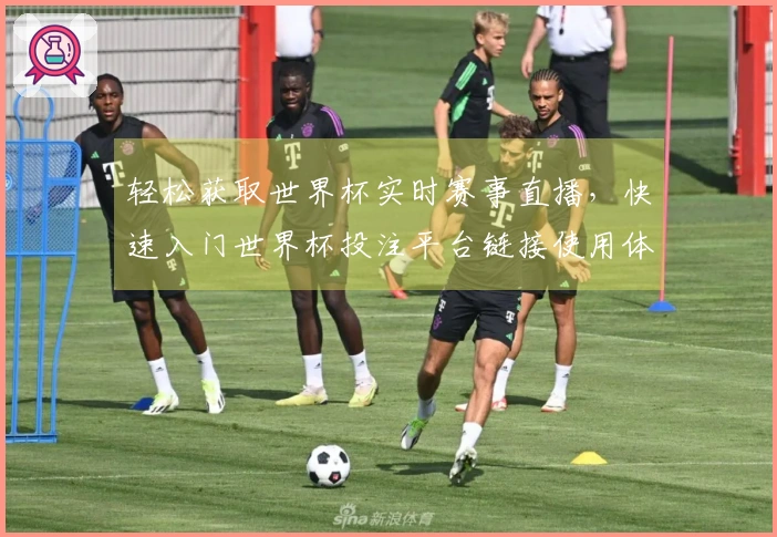 轻松获取世界杯实时赛事直播，快速入门世界杯投注平台链接使用体验分享