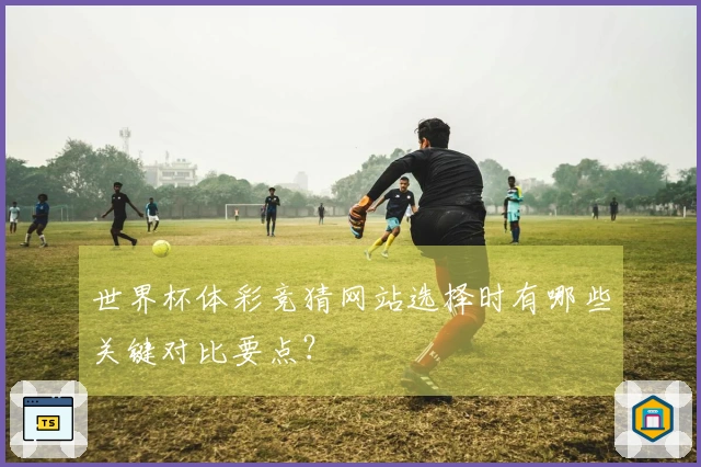 世界杯体彩竞猜网站选择时有哪些关键对比要点？