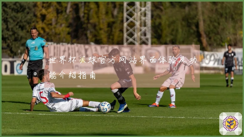 世界杯买球官方网站界面体验及功能介绍指南