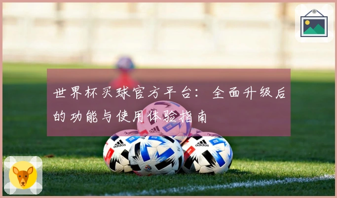 世界杯买球官方平台：全面升级后的功能与使用体验指南