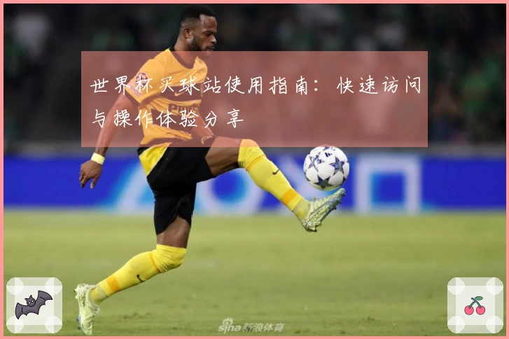 世界杯买球站使用指南：快速访问与操作体验分享