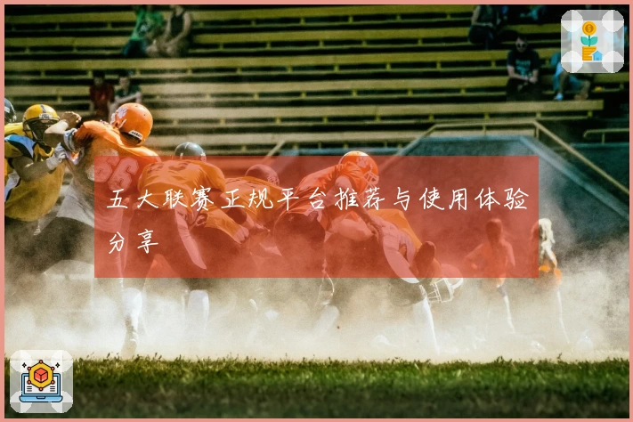 五大联赛正规平台推荐与使用体验分享