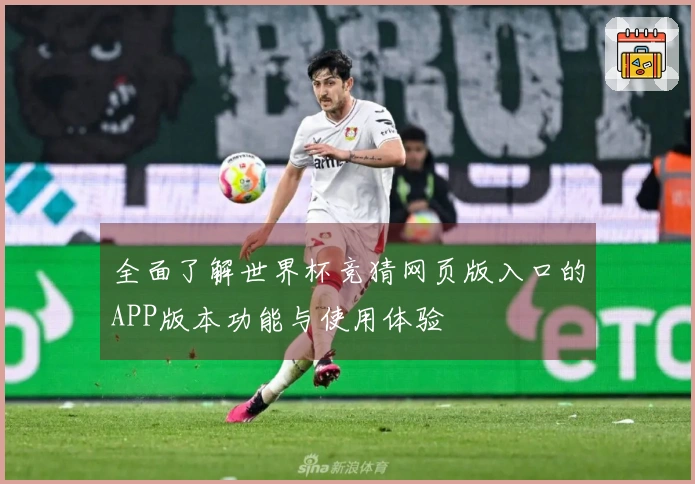 全面了解世界杯竞猜网页版入口的APP版本功能与使用体验