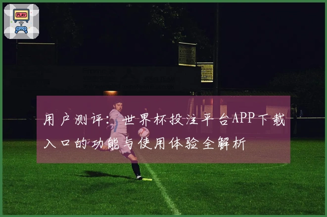 用户测评：世界杯投注平台APP下载入口的功能与使用体验全解析