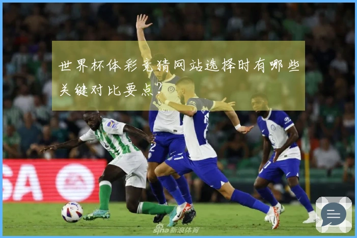 世界杯体彩竞猜网站选择时有哪些关键对比要点?