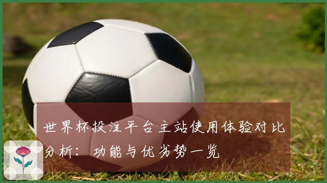 世界杯投注平台主站使用体验对比分析：功能与优劣势一览