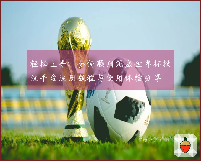 轻松上手：如何顺利完成世界杯投注平台注册教程与使用体验分享